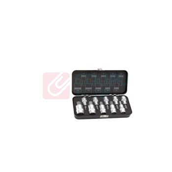 Format 内六角套筒套装 61260010 10pcs