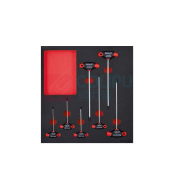 Format 模块工具套装 61750060 T柄TROX花型内六角,7pcs