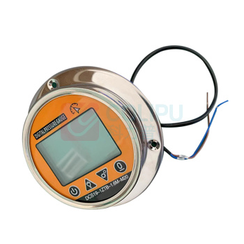 大成仪表 远传数字压力表 不含检测报告 DCS19-1ZTB-1.6M-M20 0-1.6MPa 0.2级 介质：气体或液体 