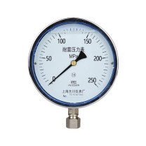 STCIF 减震压力表 YN100 0-250MPa(不锈钢材质)(不含检测报告) 