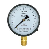 大成仪表 真空压力表 不含检测报告 YZ-100 -0.1-2.4MPa 精度1.6级 表径：100mm 螺纹：M20*1.5 外螺纹 