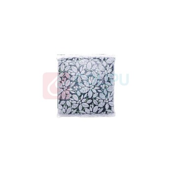 绿之源 GREEN SOURCE 汽车活性炭 500g 4包/组