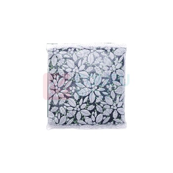 绿之源 GREEN SOURCE 汽车活性炭 500g 4包/组
