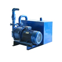 罗德力 铸铁水环式真空控制装置 380v 功率7.5kw