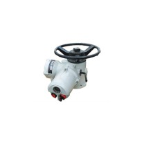 弗莱戈 电动执行器 FE-RS06-10DD 800N·m 380V