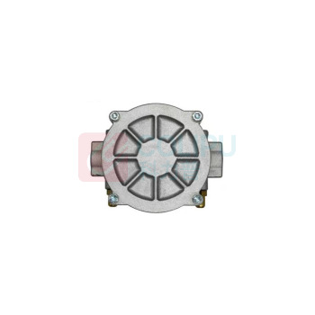 番鑫工贸 马达斯燃气用过滤器 FM DN25(1寸)