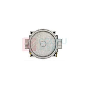 番鑫工贸 马达斯燃气用过滤器 FM DN25(1寸)