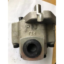 国电富通 电动液压泵 一级液压油站油泵 碳钢 G5-5-1E13S-20-R