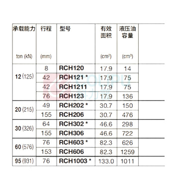恩派克 油压千斤顶 RCH-306 30T