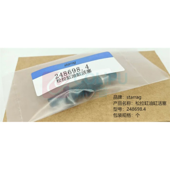 Starrag 松拉缸油缸活塞 248698.4