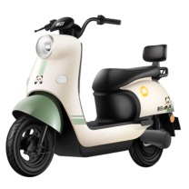 新日 电动自行车 丽曼 60V 20AH