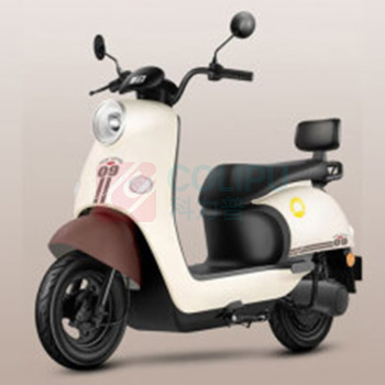 新日 电动自行车 丽曼 60V 20AH