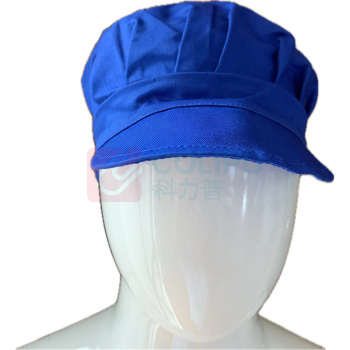 丹禾 夏季夹克套装 DH03 XL (蓝色) 防静电夏季工服上衣+裤子+帽子