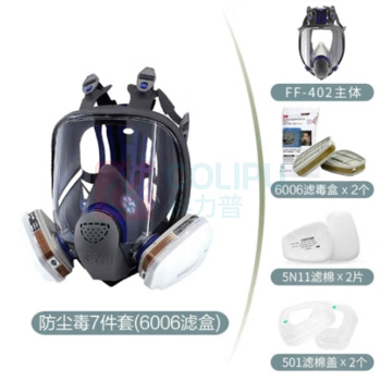 3M 面罩 FF-402 6006滤盒+七件套 (黑色)