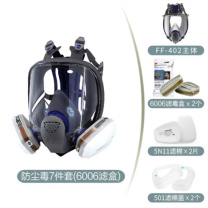 3M 面罩 FF-402 6006滤盒+七件套 (黑色)