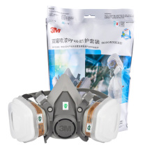 3M 防毒面具套装 620E 6200半面罩1个+6001滤毒盒2个+501滤棉盖2个+5N11滤棉2片