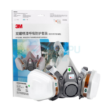 3M 防毒面具套装 620E (6200半面罩1个+6001滤毒盒2个+501滤棉盖2个+5N11滤棉2片)