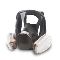 3M 防毒面具罩 6900+6006cn 全面罩 含滤毒盒 含501+5N11