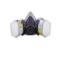 3M 氧化剂滤毒盒 6002CN 2个/包