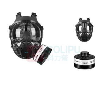 胜丽 SHENGLI 呼吸全面具配二级滤毒罐 M8900+M8007 防护一氧化碳