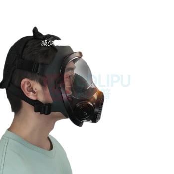胜丽 SHENGLI 呼吸全面具配二级滤毒罐 M8900+M8007 防护一氧化碳