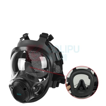 胜丽 SHENGLI 呼吸全面具配三级滤毒罐 M8900+M9007 防护一氧化碳 含导气管
