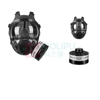 胜丽 SHENGLI 呼吸全面具配二级滤毒罐 M8900+M8005 防护无机气体