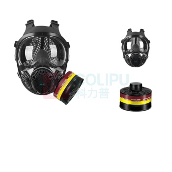胜丽 SHENGLI 呼吸全面具配二级滤毒罐 M8900+M8003 防护有机气体 + 酸性气体