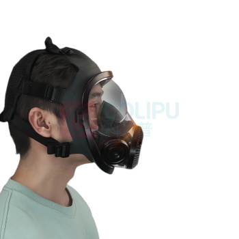 胜丽 SHENGLI 呼吸全面具配二级滤毒罐 M8900+M8003 防护有机气体 + 酸性气体