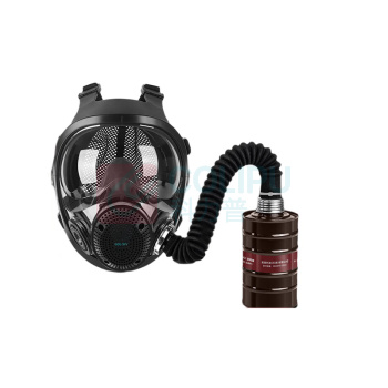 胜丽 SHENGLI 呼吸全面具套装 M8900+M9001 呼吸全面具配滤毒罐套装