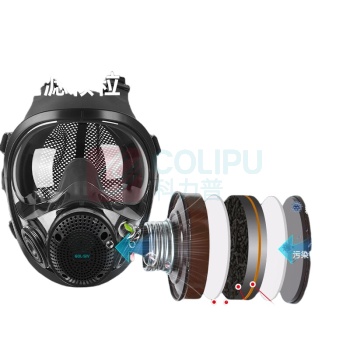 胜丽 SHENGLI 呼吸全面具套装 M8900+M9001 呼吸全面具配滤毒罐套装