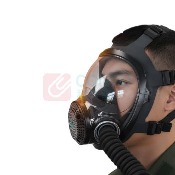 胜丽 SHENGLI 呼吸全面具套装 M8900+M9001 呼吸全面具配滤毒罐套装