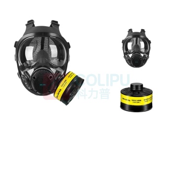 胜丽 SHENGLI 呼吸全面具套装 M8900+M8002 呼吸全面具配二级滤毒罐
