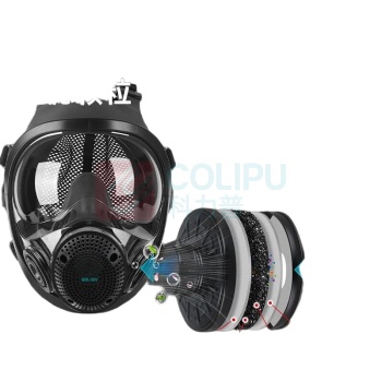 胜丽 SHENGLI 呼吸全面具套装 M8900+M8002 呼吸全面具配二级滤毒罐