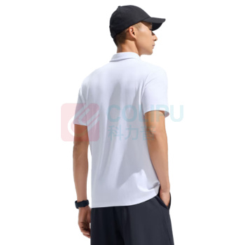 安踏 型动POLO 商务翻领速干短袖 男夏季 952527149 L码男175 (纯净白)