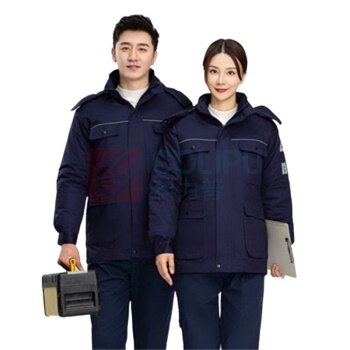 龙伟联合 冬季防静电工作服 LW-TQ8899Z 中长款棉上衣 175码 (藏蓝)