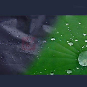 耀王 长款防暴雨雨衣风衣男女外卖物业雨披户外执勤快递骑行摩托车带帽雨衣牛津布全身防雨雨衣 ZX-902 XL/175