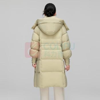 雪中飞 羽绒服 X401JF45112F 155/80A (豆绿色)