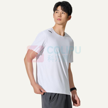 安踏 速干T恤男士短袖 952427102 XL (纯净白)