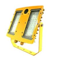 深圳海洋王 BFC8118-100W LED防爆摄像泛光灯，网络，单位：个
