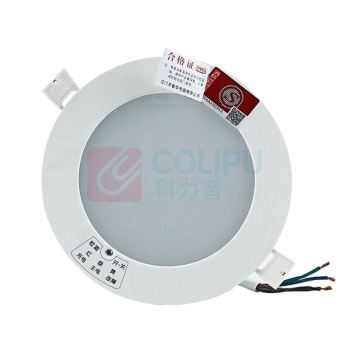 π拿斯特 消防应急照明灯，一体化筒灯/应急筒灯(3寸)，M-ZLZD-E5W1129(P1129)