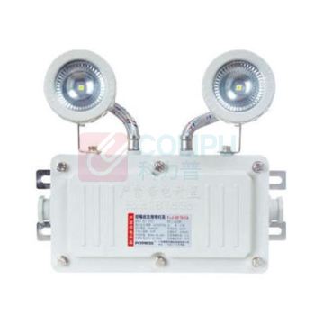 π拿斯特/Pinaster 防爆应急照明灯，IP54防护等级，应急时间≥90min，BY11-L2/2B2