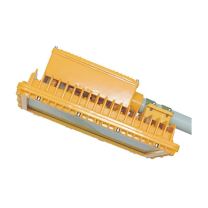 奇辰 LED防爆路灯，QC-FB008-A-I(L)，60W 白光6000K 适配灯杆直径60mm 不含灯杆，单位：个