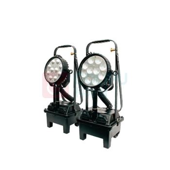 通明电器 LED防爆强光工作灯，BW3210 功率30W，单位：个