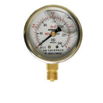 红旗 耐震压力表,YTN-60 0-10MPA G1/4 径向 YTN-60 0-10MPA G1/4 径向 YTN-60 0-10MPA G1/4 径向