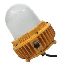 雷发照明 LED防爆灯 LFB-30-01 白光30W 含U型支架，单位：个