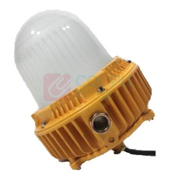 雷发照明 LED防爆灯 LFB-30-01 白光30W 弯杆式安装 不含弯杆，单位：个