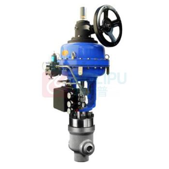 维替（W&amp;T） 给水泵最小流量再循环阀，CV/CC/CA，CV8BWP25M，8"，A105，手动