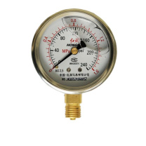 红旗 耐震压力表,YTN-100 碳钢+铜 径向不带边 M20×1.5 0~1.0MPa YTN-100 M20×1.5 0~1.0MPa YTN-100 M20×1.5 0~1.0MPa