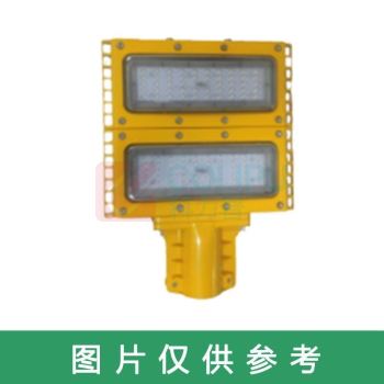 明特佳 LED防爆道路灯FLD8700，4模组200W，145°×100°，5700KL679W310H88，单位：个
